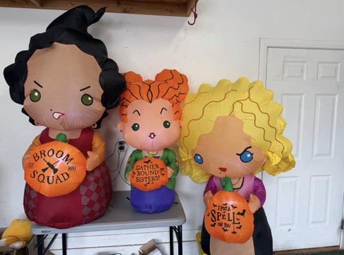 Hocus pocus sanderson - 4.5',
